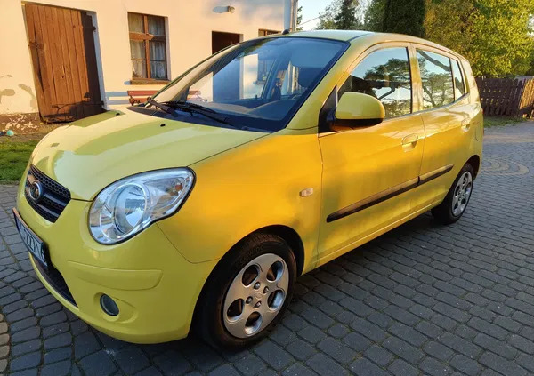 kia duszniki-zdrój Kia Picanto cena 11900 przebieg: 130000, rok produkcji 2008 z Duszniki-Zdrój